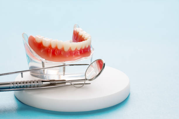 Best Traditional Braces  in North Mankato, MN